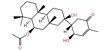 19-Episuberitenone B